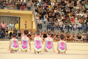 EXHIBICIN DE NAVIDAD DE ESCUELAS DE GIMNASIA RTMICA 