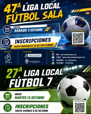 LIGAS LOCALES TEMPORADA 2029-2027