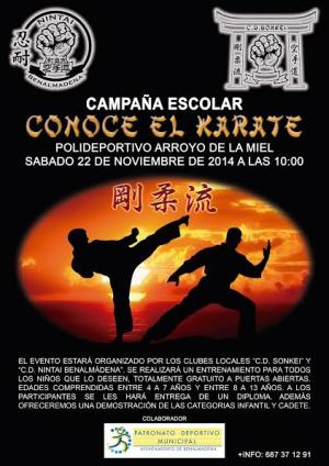 CONOCE EL KARATE