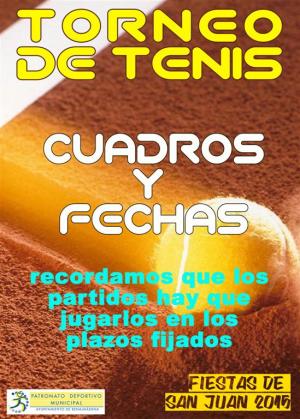 CUADROS TORNEO TENIS DE FERIA