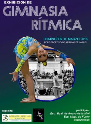 EXHIBICIN DE GIMNASIA RTMICA 2006